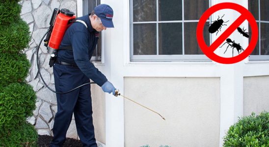 Beykoz Sivrisinek İlaçlama böcek ilaçlama ve haşere kontrolü — ilaclama-tr.com
